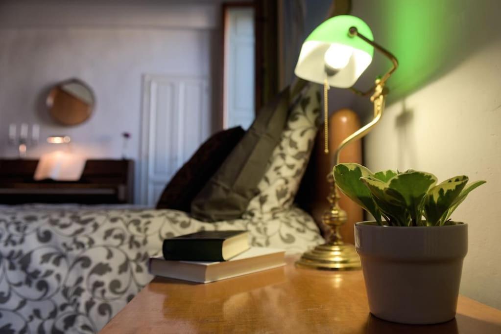 Cozy Apartment With Private Garden - City Center - 피렌체 외부 사진